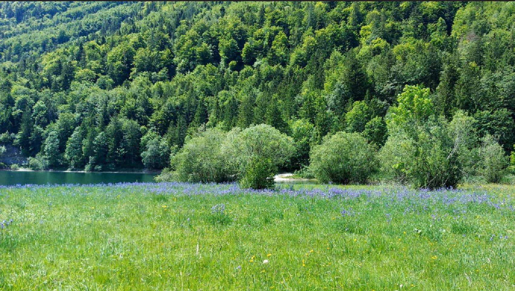 Villa Jägerhaus Hintersee Exterior foto